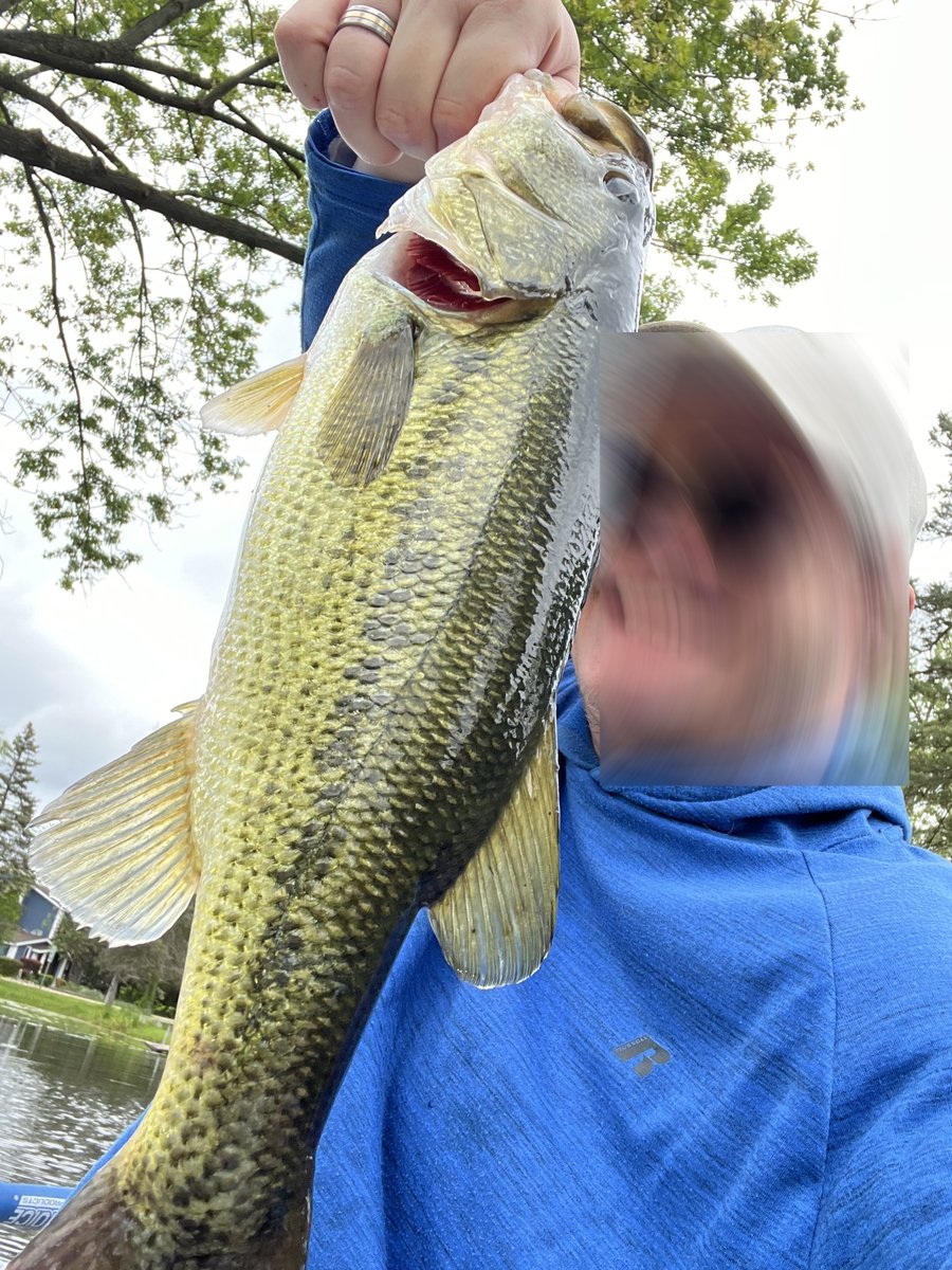 This large mouth bass in my canal was pretty angry about it...

Happy Saturday friends.
