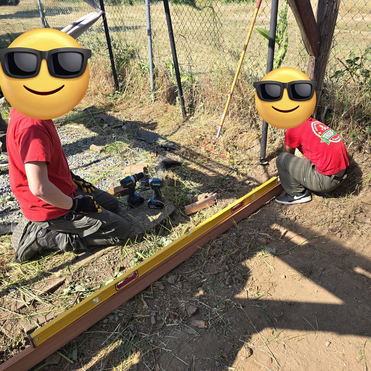 Brandon Hannibal Donkey tweet media