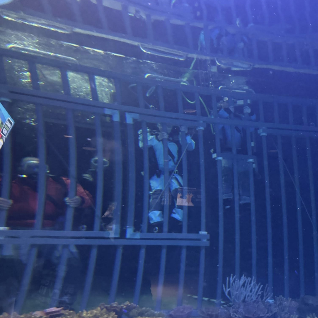 armyARCP's tweet image. LTC Barrientos, MAJ Caro, and MAJ Ellzey joined the Adaptive Reconditioning Program team for a command visit to the shark dive event at the local aquarium. SRU Soldiers can participate this spring and summer! 

#ARCP #AdaptiveReconditioning #JBLM