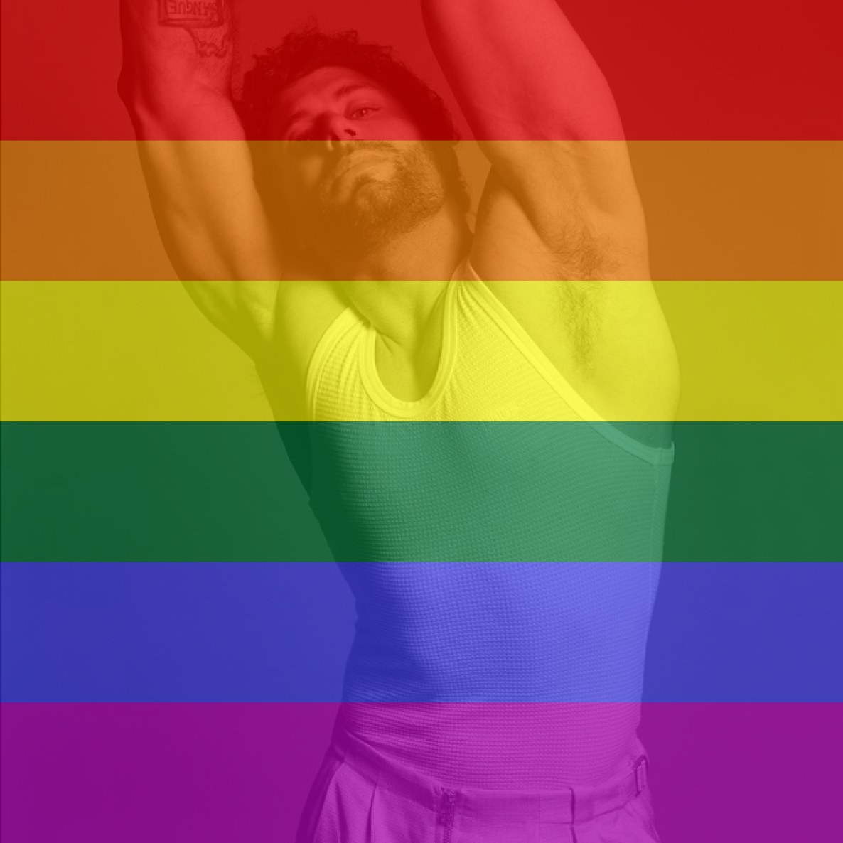 FcJesusLuz's tweet photo. 17 de maio- dia internacional da luta contra a LGBTFOBIA 🏳️‍⚧️🏳️‍🌈

Ser contra a homofobia representa a defesa do direito de liberdade de todos os seres humanos se relacionarem com quem quiserem, se expressarem da forma que quiserem e se identificarem como bem entenderem

@JesusLuz1 https://t.co/1Mc0mF4F6q