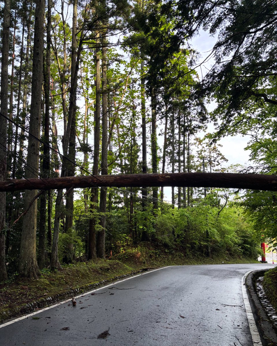 OsakiShrine's tweet photo. https://t.co/qeD7sogVf2