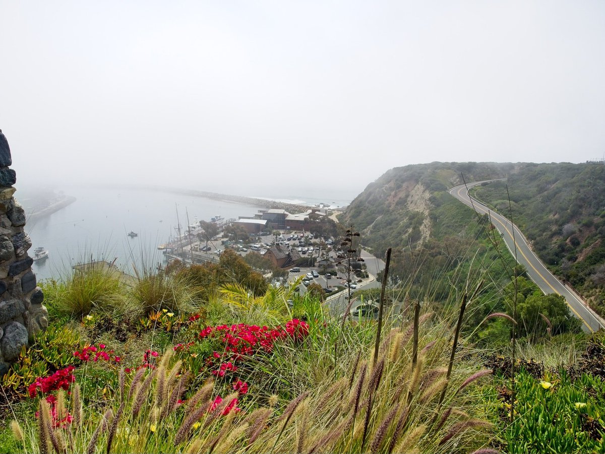 AdpCall's tweet image. Dana Point, CA