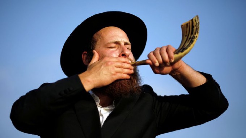 shekel reserve tweet media