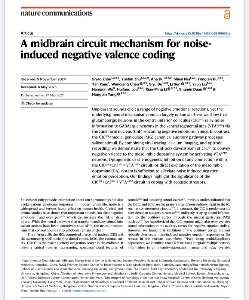 Why noise makes you feeling bad, our new work partly explains the reason. rdcu.be/emt33