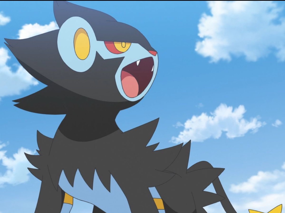 Peko_girlboss's tweet photo. A moment of silence for every pokemon cursed with the fate of being an electric type physical attacker https://t.co/k8dmQpMFU4