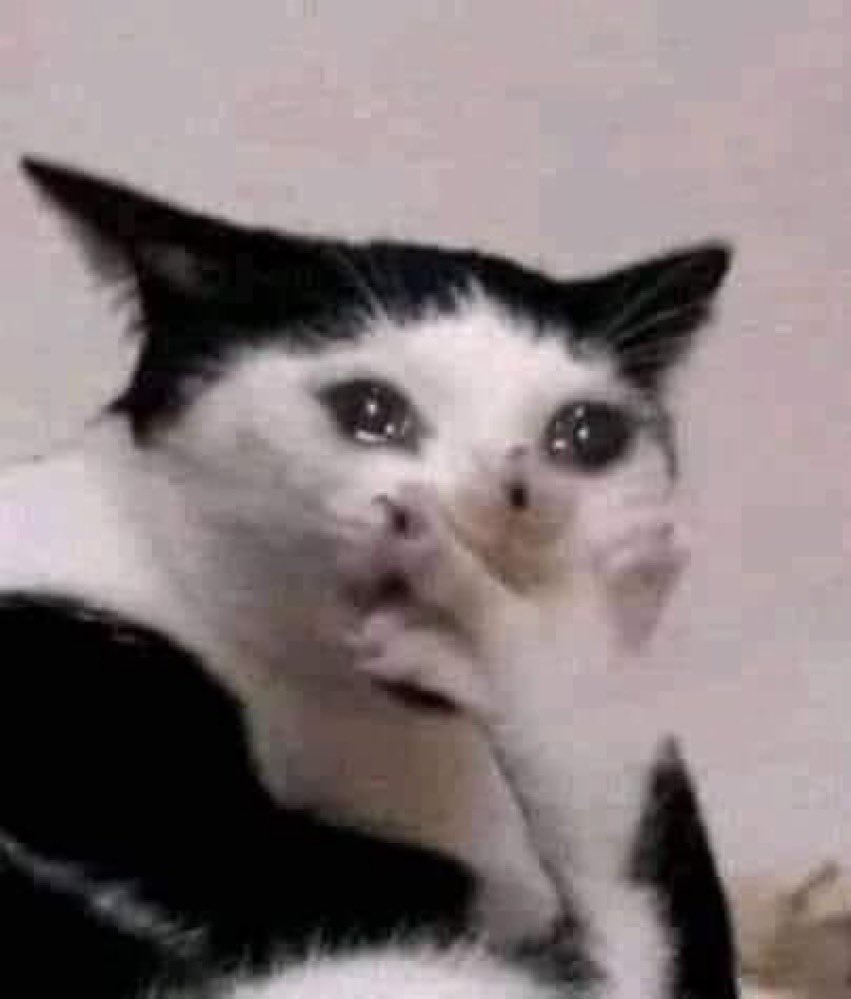 Io quando ho visto che la presentatrice di San Marino ha tirato fuori l’armonica  #escita2025 #eurovision2025