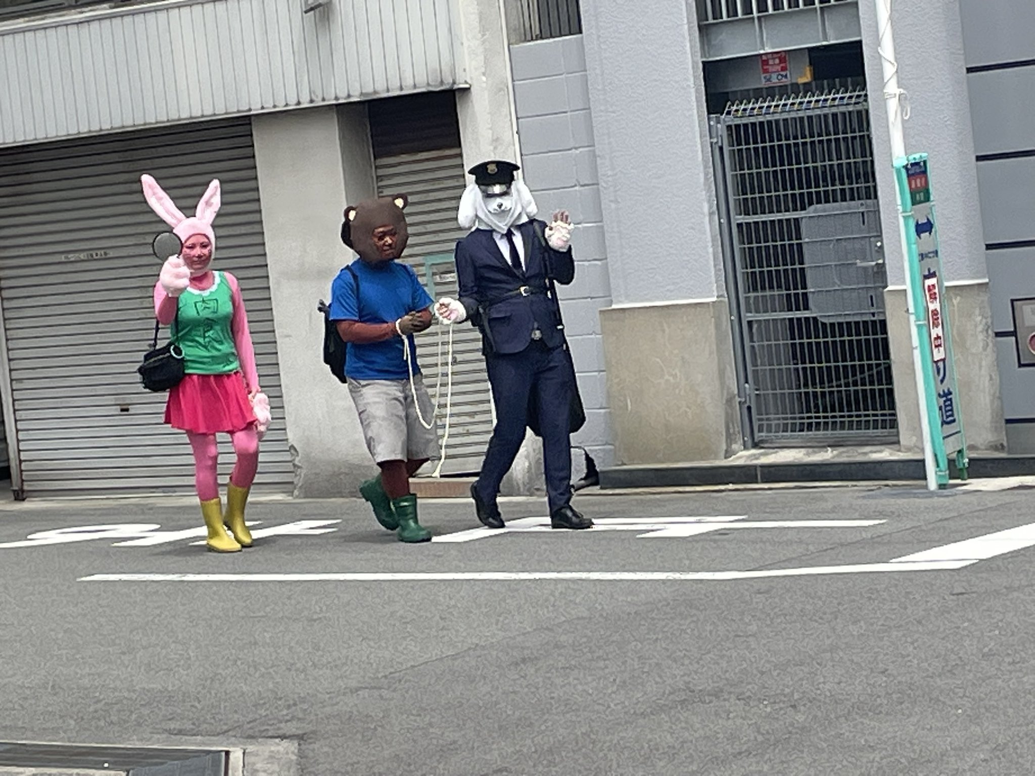 しらす様★★★ しらす on X