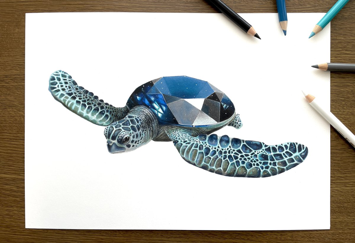 色鉛筆で描いています〜! #海族のお宝2025 」|安部祐一朗のイラスト