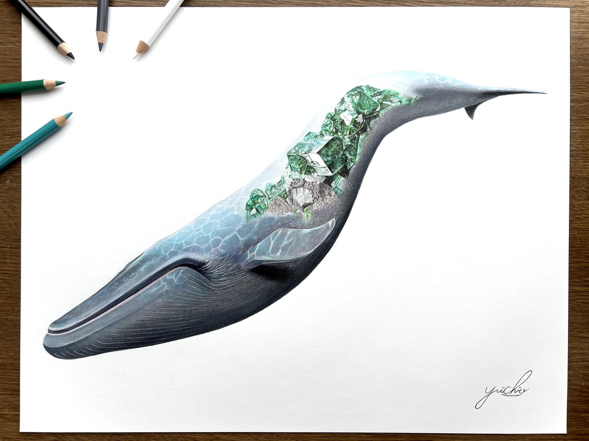 色鉛筆で描いています〜! #海族のお宝2025 」|安部祐一朗のイラスト