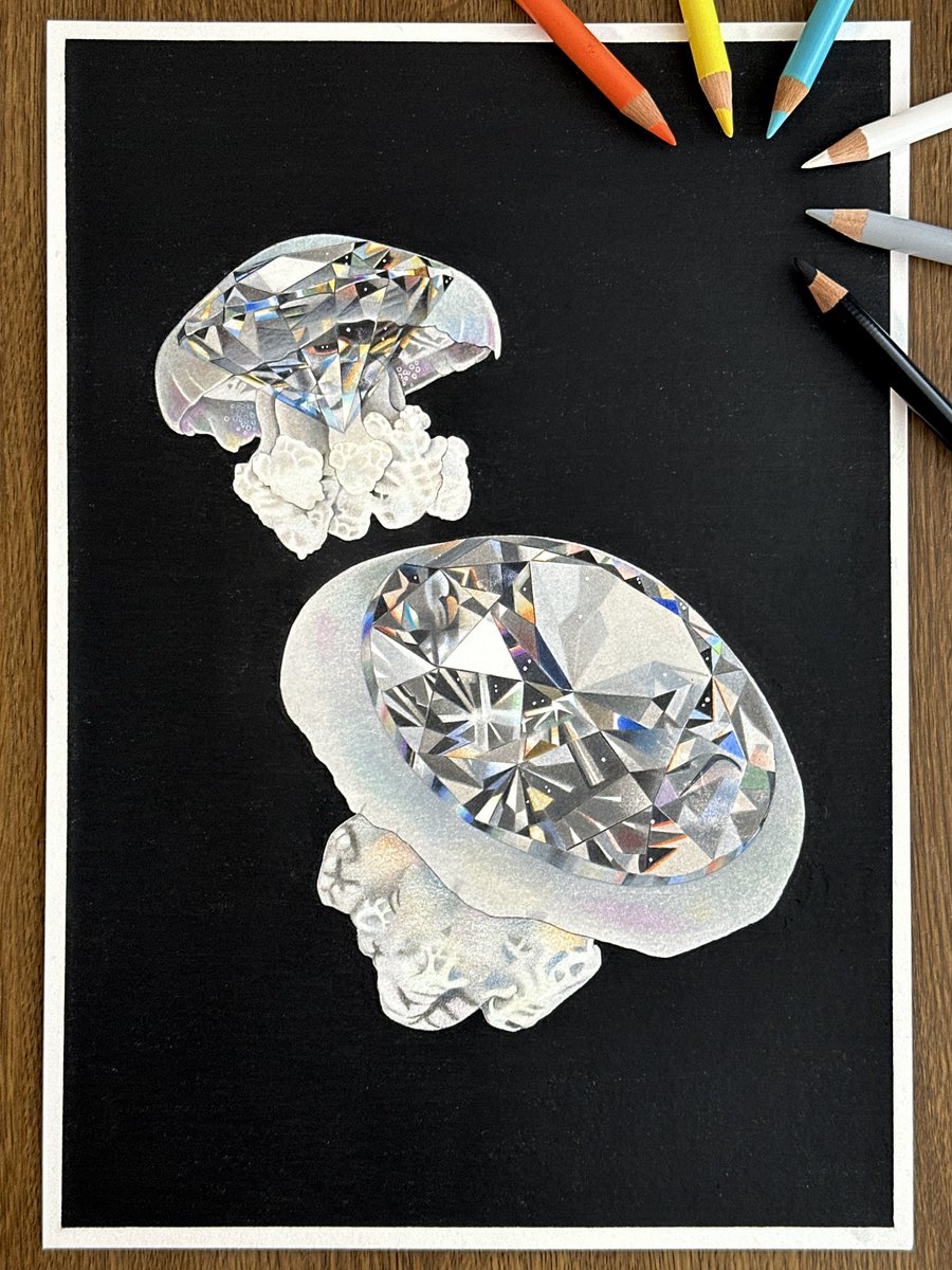 色鉛筆で描いています〜! #海族のお宝2025 」|安部祐一朗のイラスト