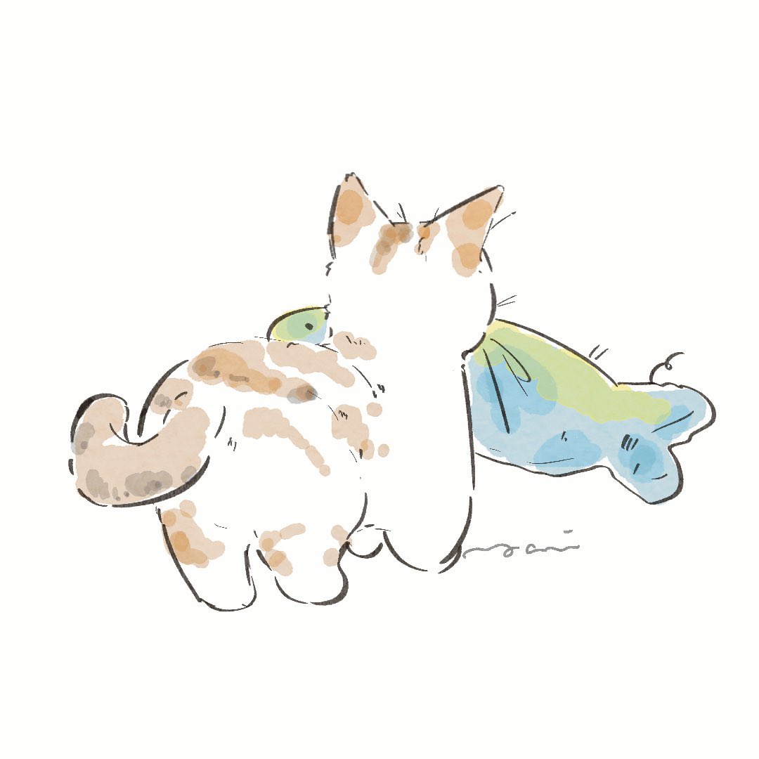 愛おしい後ろ姿