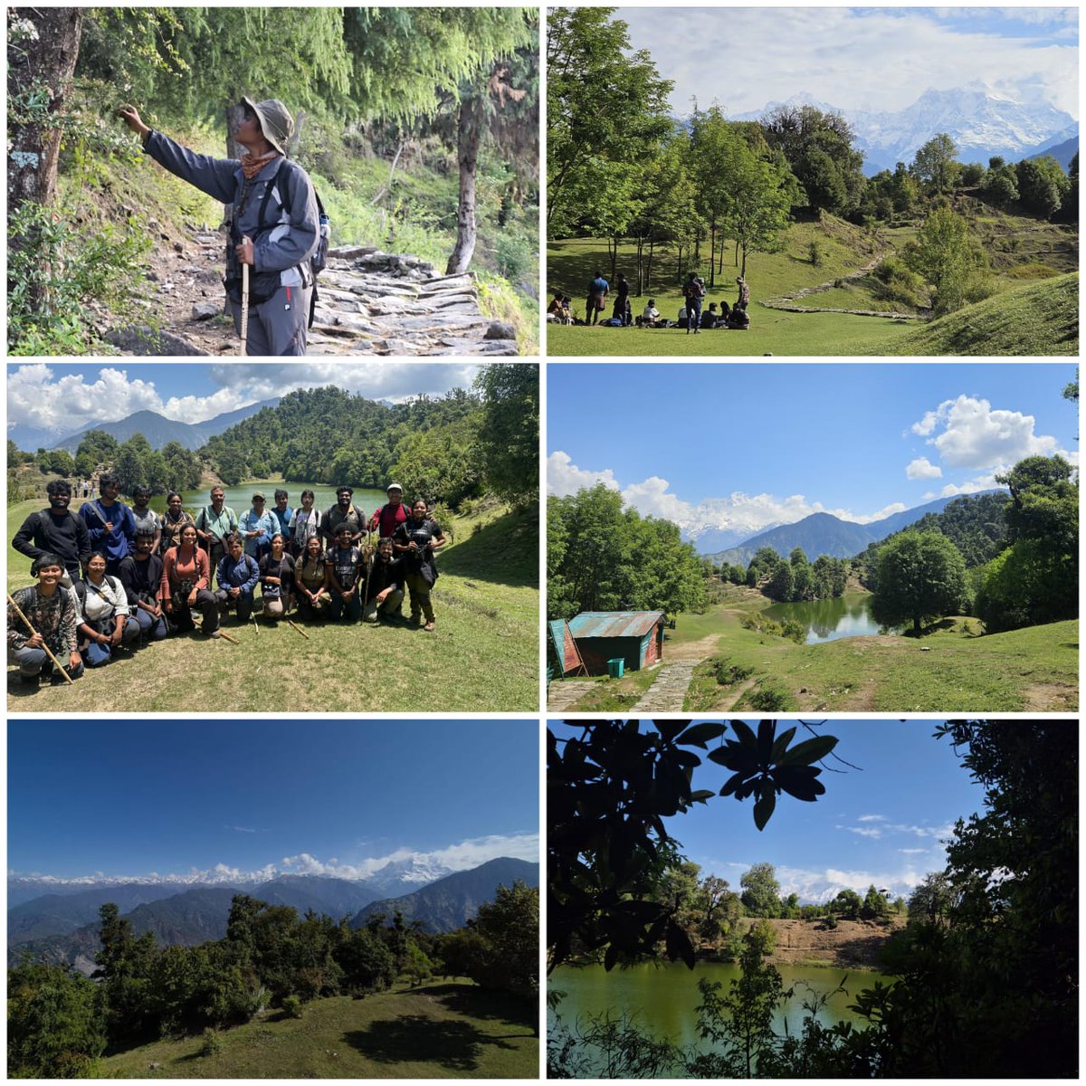 Wildlife Institute of India tweet media