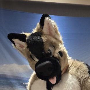 ni_shep's tweet photo. Oh hai, what you doing?.  #Furry #Fursuit #Shepherd #GShep #NewProfilePic https://t.co/LOYqaRqeUl