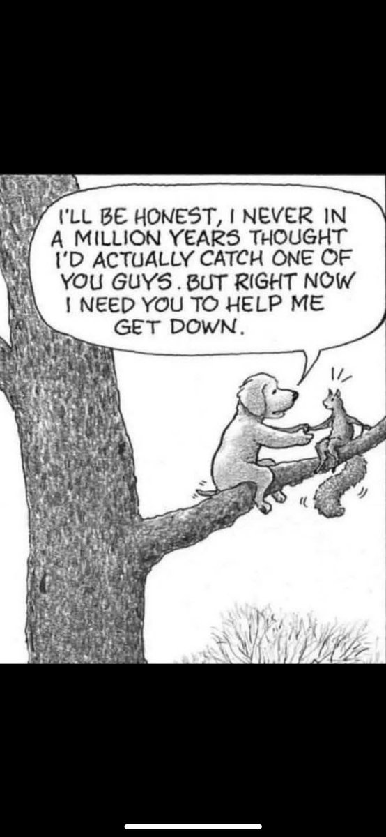 Bol!!!! 🤣