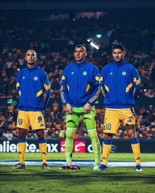 LLanesLyL's tweet photo. DIRECTIVA de cagada cuánto los odio, nunca se me va a olvidar cómo desaprovechamos los últimos buenos años de nuestras máximas figuras; les trajeron puro bulto, LOS DEJARON MORIR y mancharon la historia de ellos y la nuestra. Lárguense y no vuelvan @TigresOficial https://t.co/dOEJF58IGH