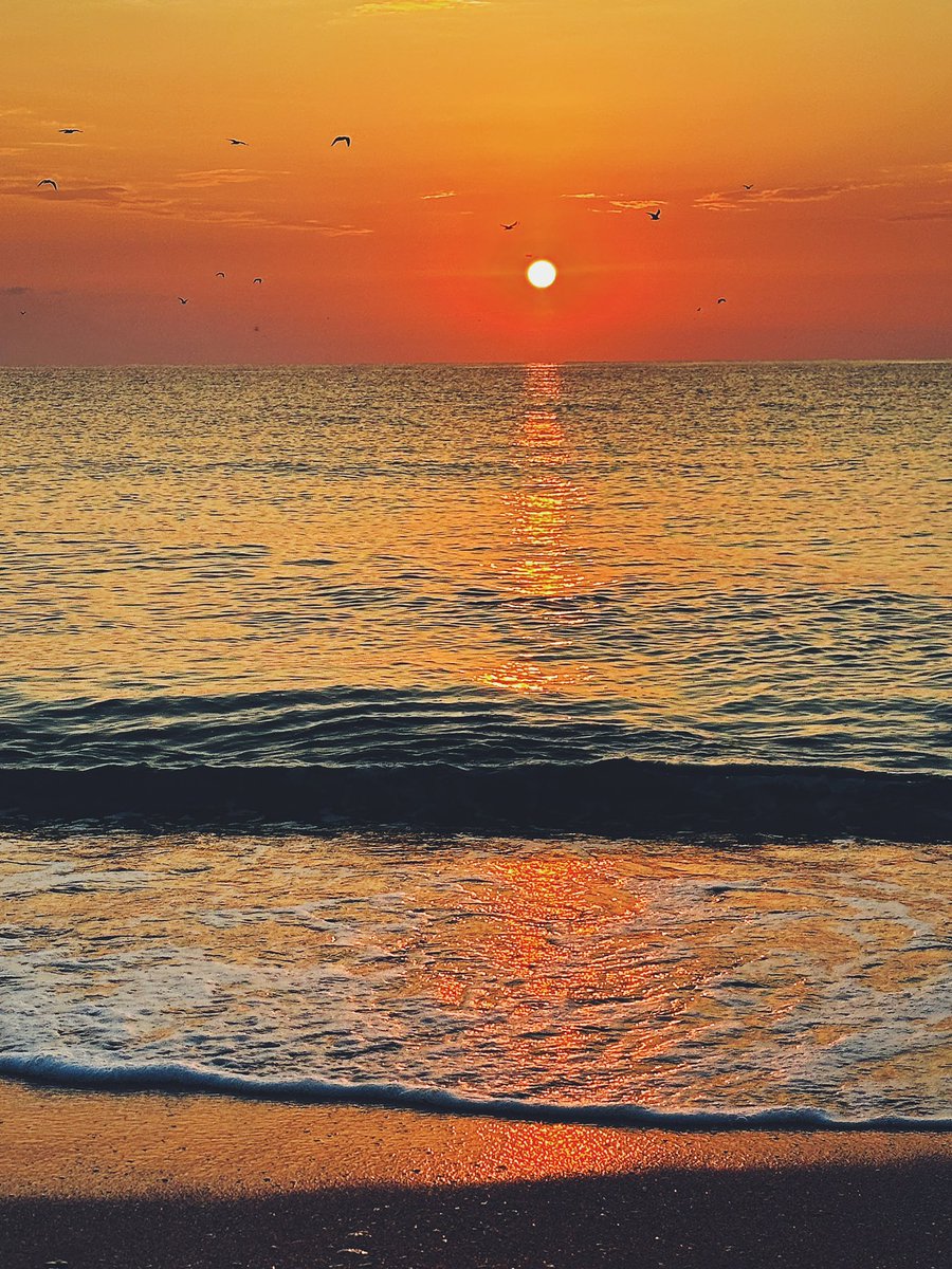 MirceaCiuca's tweet photo. I love the smell of napal in the morning 

Vama Veche, Limanu, 08.23.

#vamaveche #limanu #blacksea #sunriseromania  #quoteoftheday #sunrise #seabird #mareaneagra https://t.co/UBVmCA7Z6e