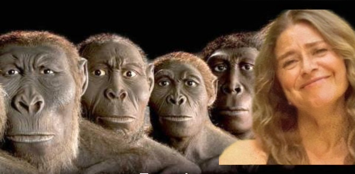 dido 🐳 (@survalmeda_fc) on Twitter photo 