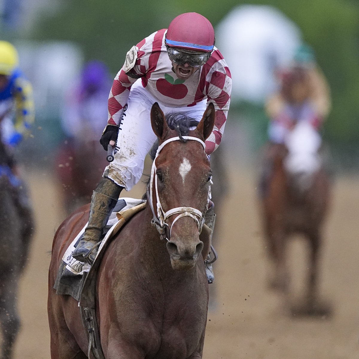Journalism is a BEAST 🙌

#Preakness150