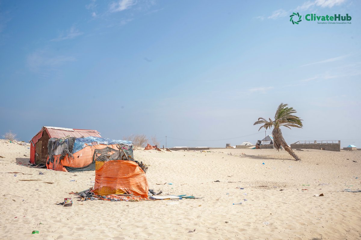 ClivateHub's tweet photo. 🏝️#Hobyo’s beauty hides an urgent crisis: #sand_dunes and #plastic_waste are overtaking this historic coastal city.

Together with the @MPFGalmudug our team took action and local fishermen joined us in a hands-on beach clean-up! 🤝🧼🌊

https://t.co/Uurp48fBB5 https://t.co/Y723LQaJet