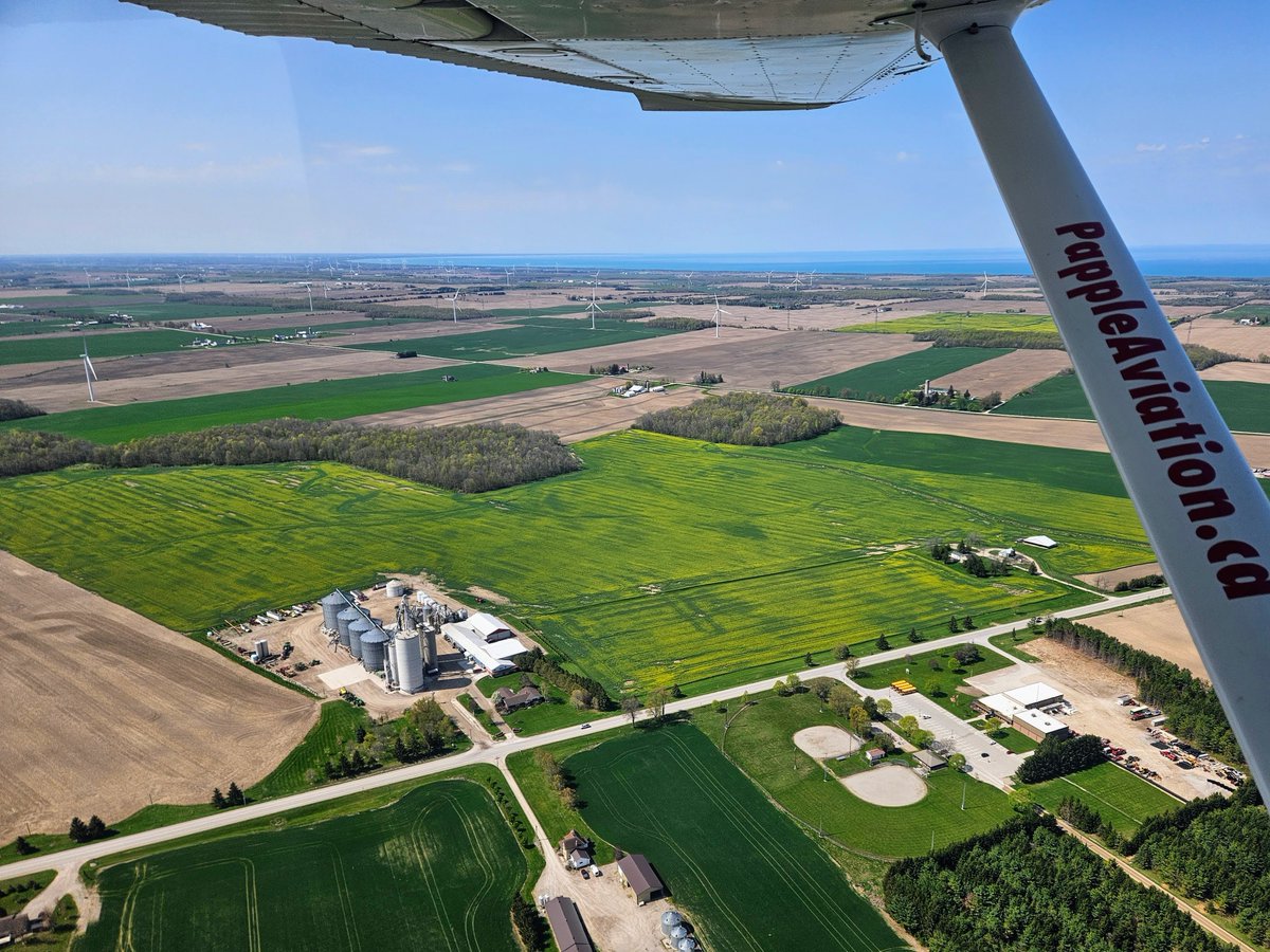 PappleAviation's tweet photo. There aren't a lot of canola fields in our area so it's always a treat to spot one. When they're in bloom we you can see them from miles away! These 2 photos are of the same field, near Varna, taken May 10th and May 16th.
#canolafields #ontariocanolagrowers #ontariofarmers https://t.co/pScb5XqmUZ