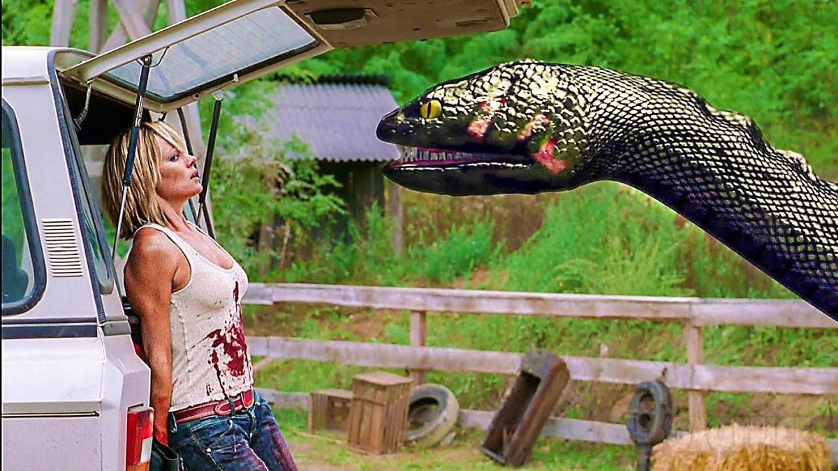 DiLDLima's tweet photo. fui rever o filme da anaconda ( morria de medo quando criança) e to sem palavras pra esses efeitos kkkkkkk https://t.co/8yM4ktbZW6