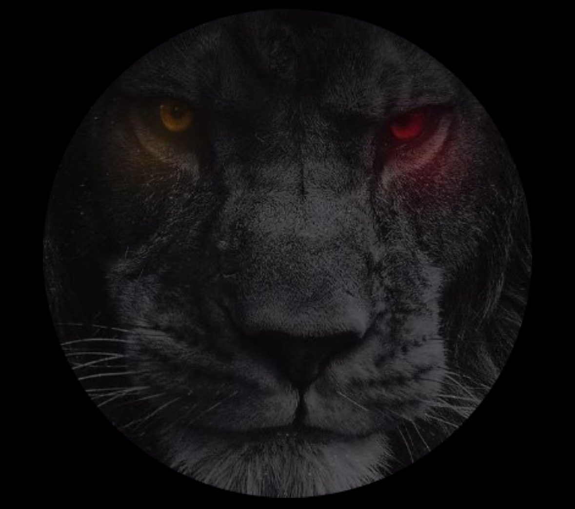 <a href="/landon_roth2/">Landon Rothgeb</a>  2 more weeks!