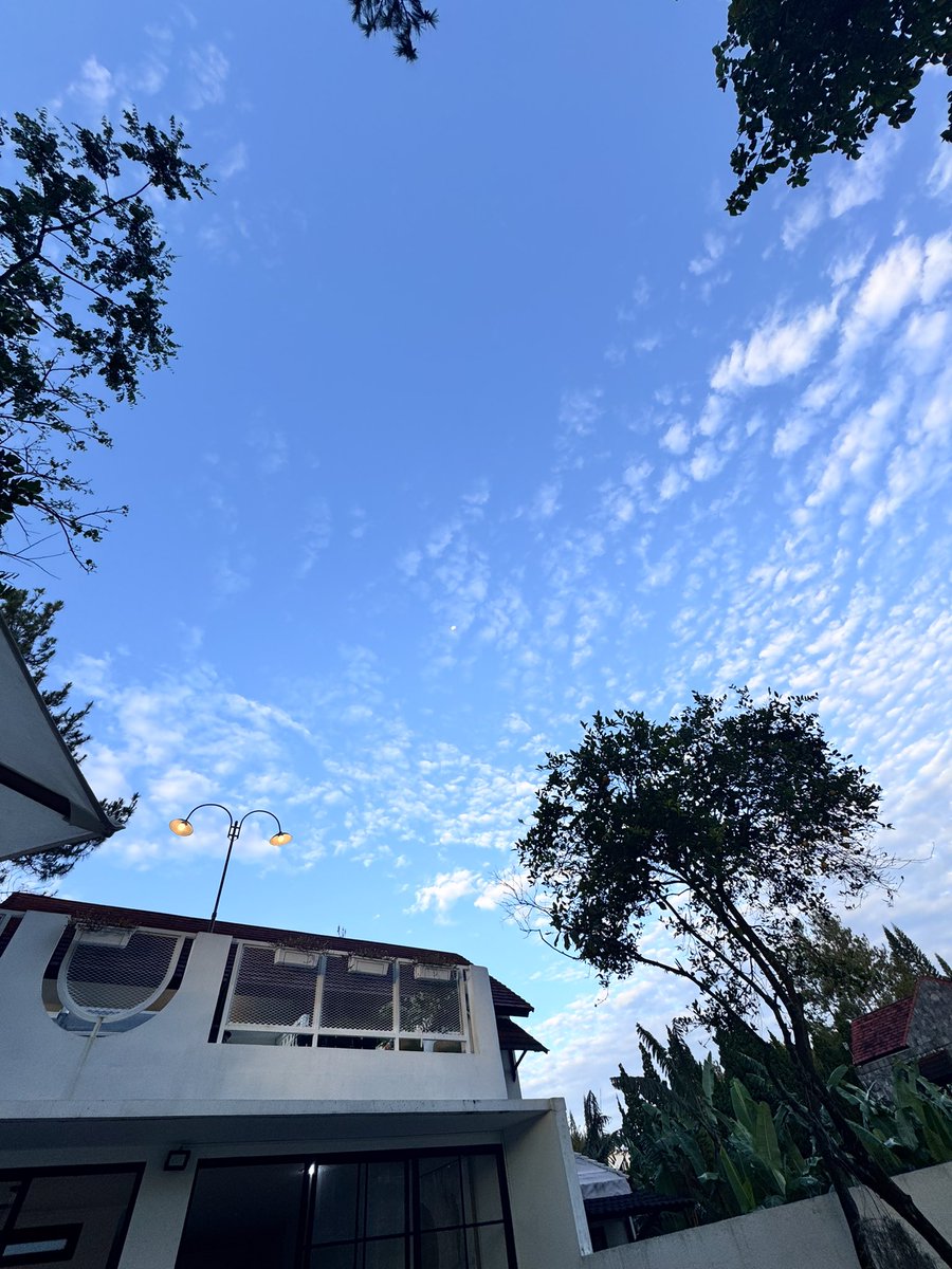FarohanID's tweet photo. Morning sky painted in blue, yet the moon refuses to say goodbye 🌖 https://t.co/OlZX7O88LF
