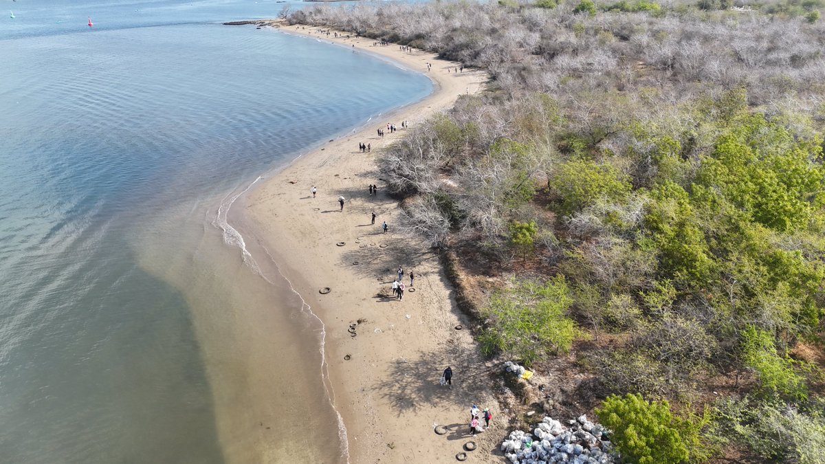 Otra gran participación y exitosa limpieza de playa en la parte trasera de Stone Island. Gracias a <a href="/sofiatrejol/">Sofia Trejo Lemus</a> y <a href="/MazConCiencia/">MazConCiencia</a> y <a href="/Maestherjuarez/">Maria Esther Juarez Nelson</a> organizar esto.