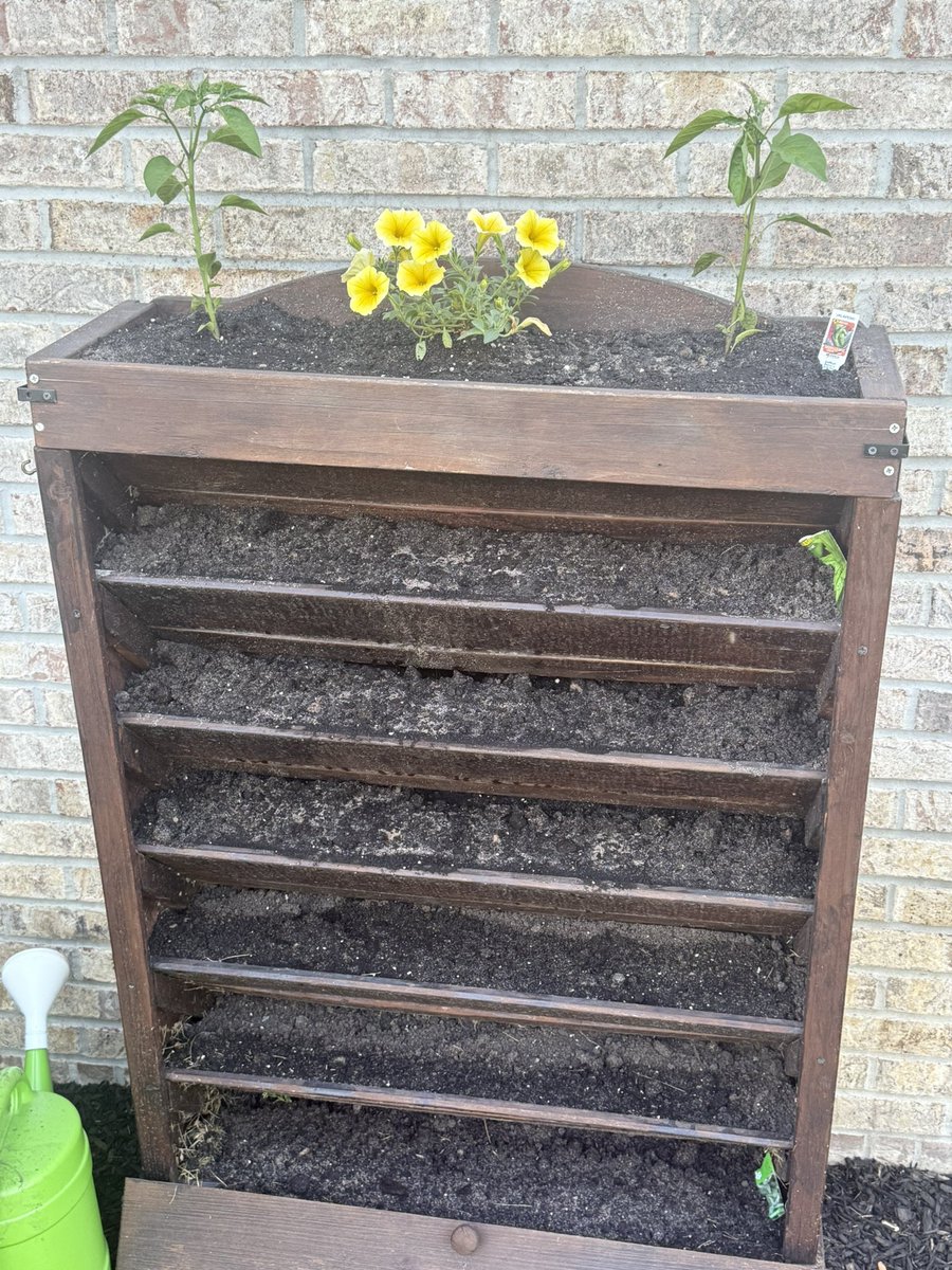 Kathy Harbaugh (@kharbaugh) on Twitter photo Year 5 of the vertical garden!  Let the growing begin!! #verticalgarden #urbangarden Year 5 of the vertical garden!  Let the growing begin!! #verticalgarden #urbangarden