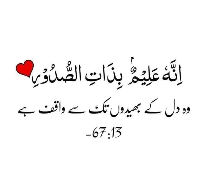 __SZ22's tweet photo. السلام علیکم ورحمتہ اللہ وبرکاتہ 🤍 https://t.co/bqCLioueZO