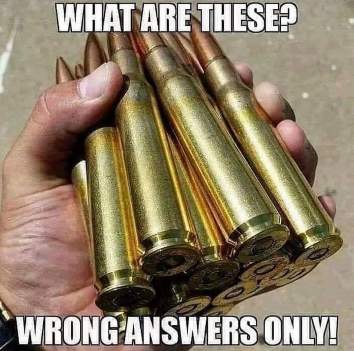 🇺🇸MidwestBadAss🇺🇸 tweet media