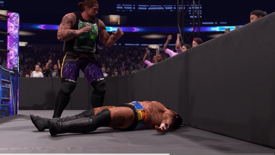 Virtual Wrestling Network tweet media