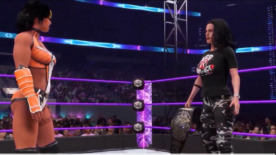 Virtual Wrestling Network tweet media