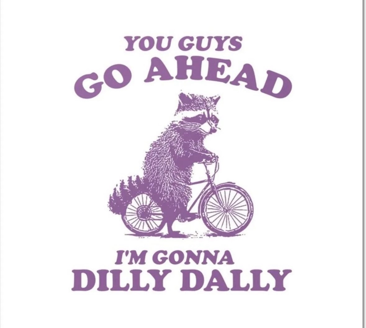 raccoon aesthetic. (@raccoonesthetic) on Twitter photo 