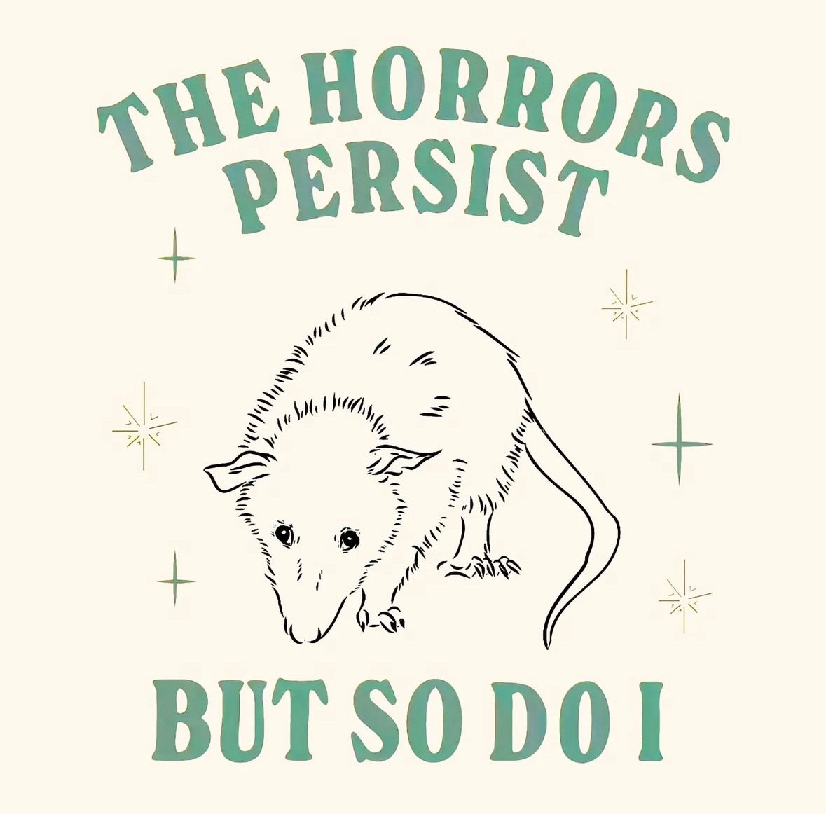 raccoon aesthetic. (@raccoonesthetic) on Twitter photo 