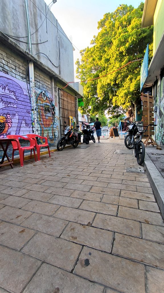 edsoncruzt's tweet image. Andador del arte Zipolite 
#zipolite #adoquin #consumelocal
#diverso