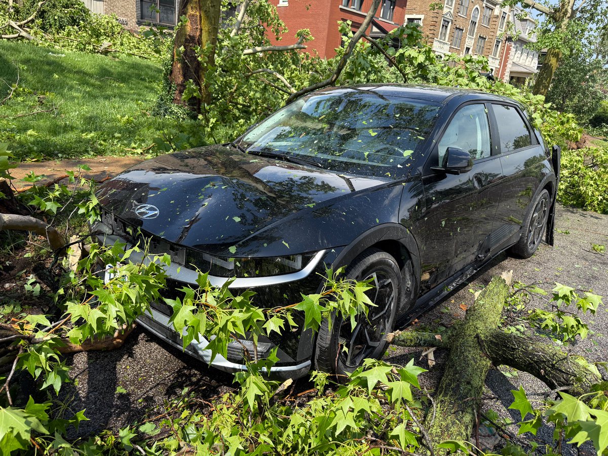 spibanez's tweet photo. Mother Nature has little patience for our hubris. #STL https://t.co/ib4H8GxHlr