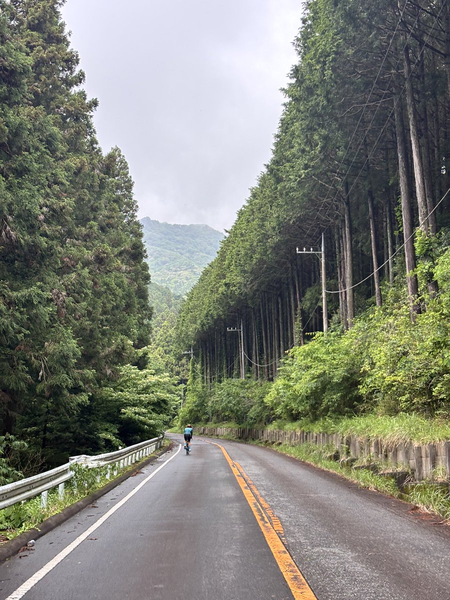 風景画【筑波山】F10号