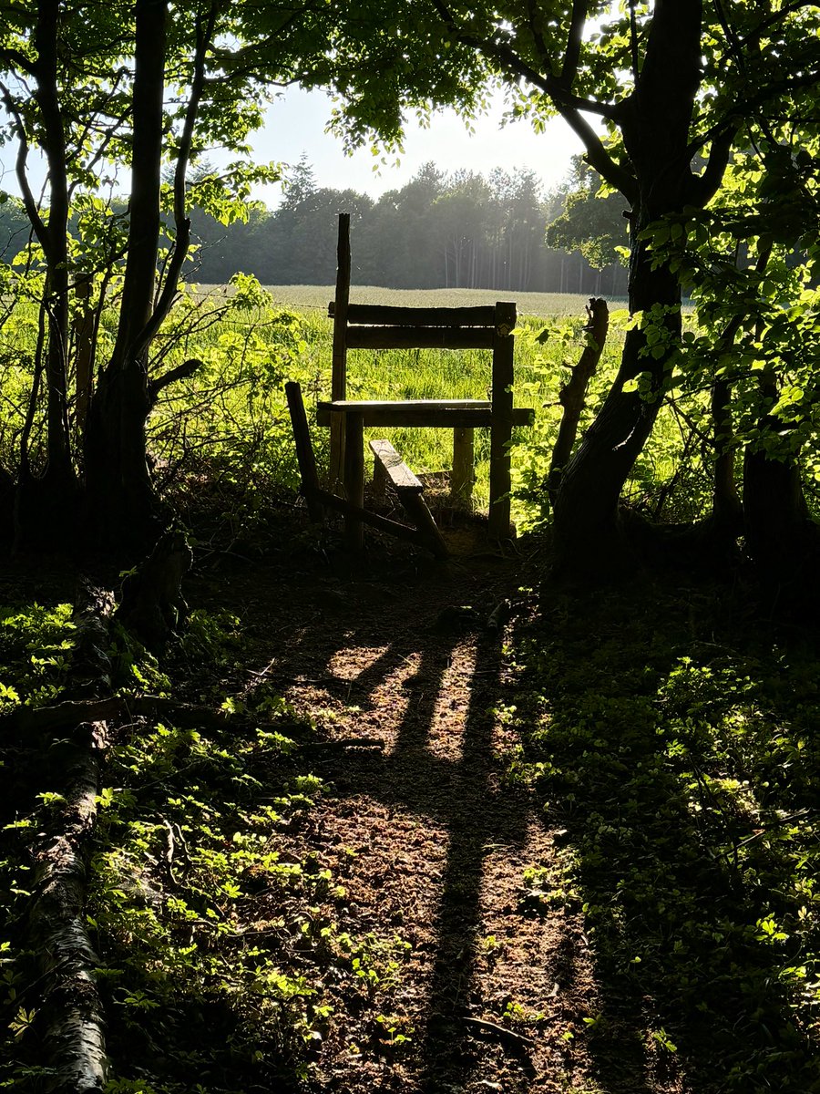 APCAFC's tweet photo. Bennington to Hamstreet

#GoingAroundtheUKCoastAgain 
Day 140
SIDE PROJECT 
#SaxonShoreWay https://t.co/sYJFM7LTvH