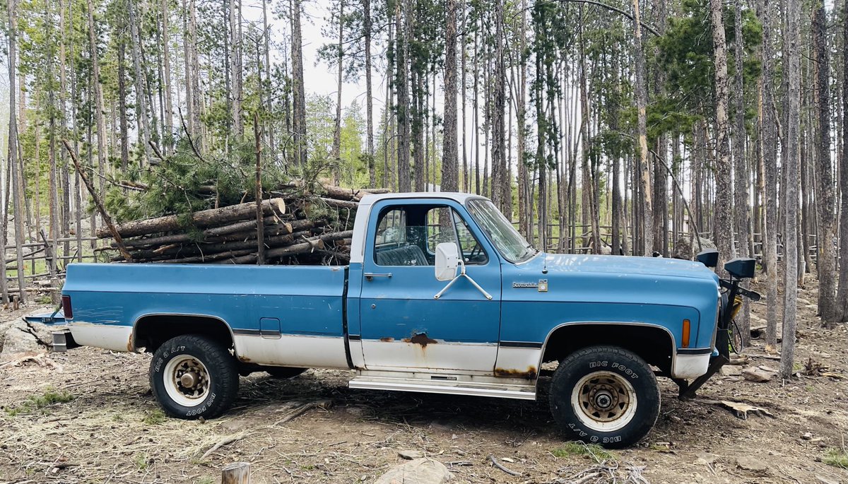 MJBuffsVoice's tweet image. Hauling slash never ends living up here! 🤠🌲🪓 #TheCompound