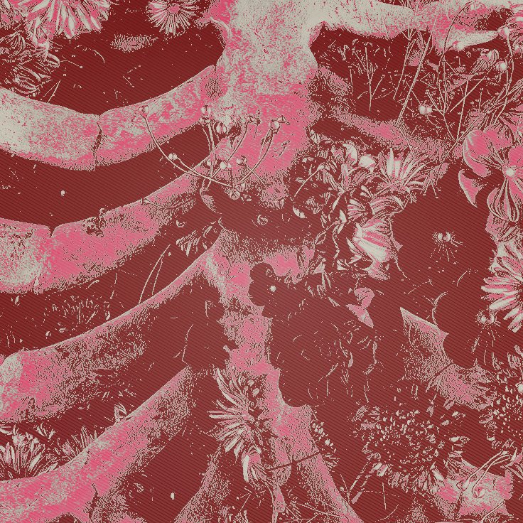 𝒾，‎ ‏‏‎ ‏‏‎ ‏‏‎ ‏‏‎ 𝕮ᴬ𐍂𝚁𝓲𝝤͟𝐍. tweet media