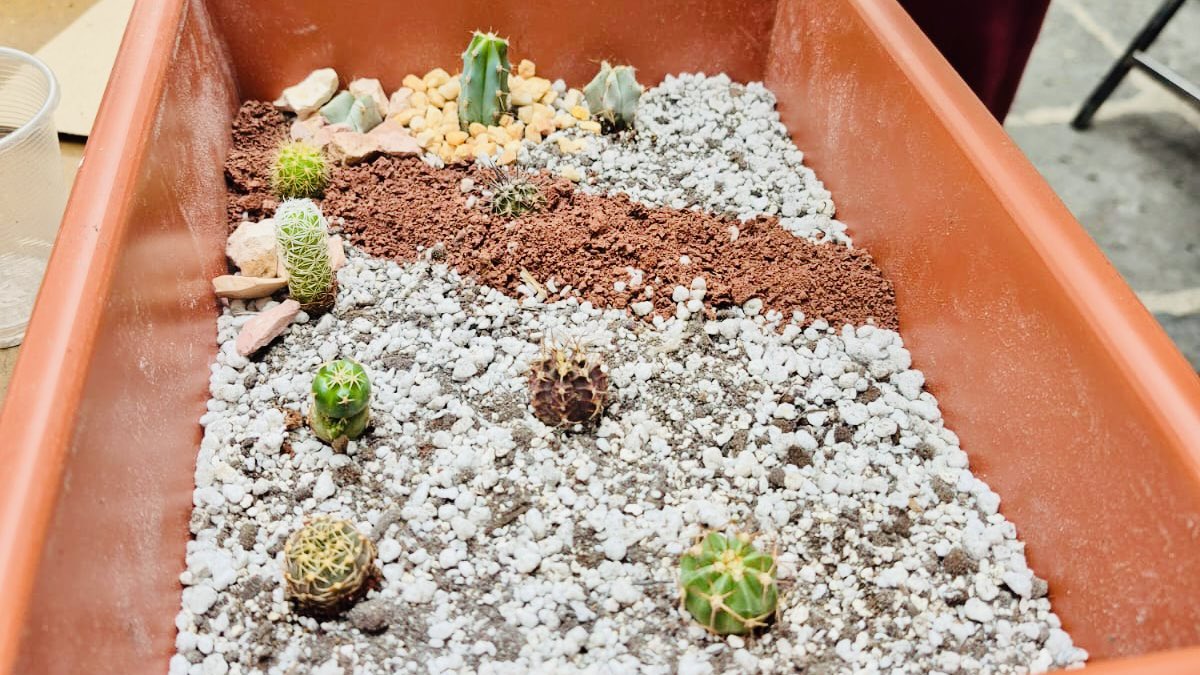 Les compartimos un poquito de cómo se vivió el taller botánico, impartido por el Instituto Mexicano de Fauna, Flora y Sustentabilidad Social A.C

#museo #SanAngel #MCR #Cactus