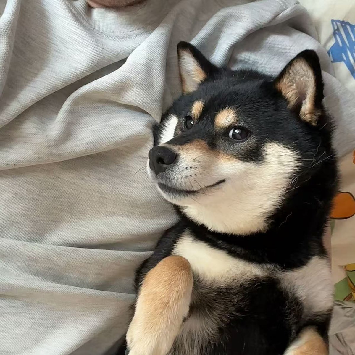 AMO莫莫 (@amo9612) on Twitter photo 