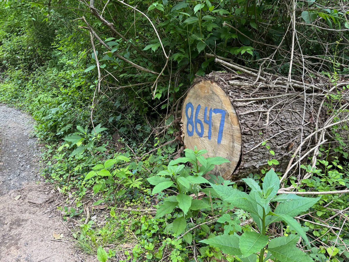 Somewhere along a road in America