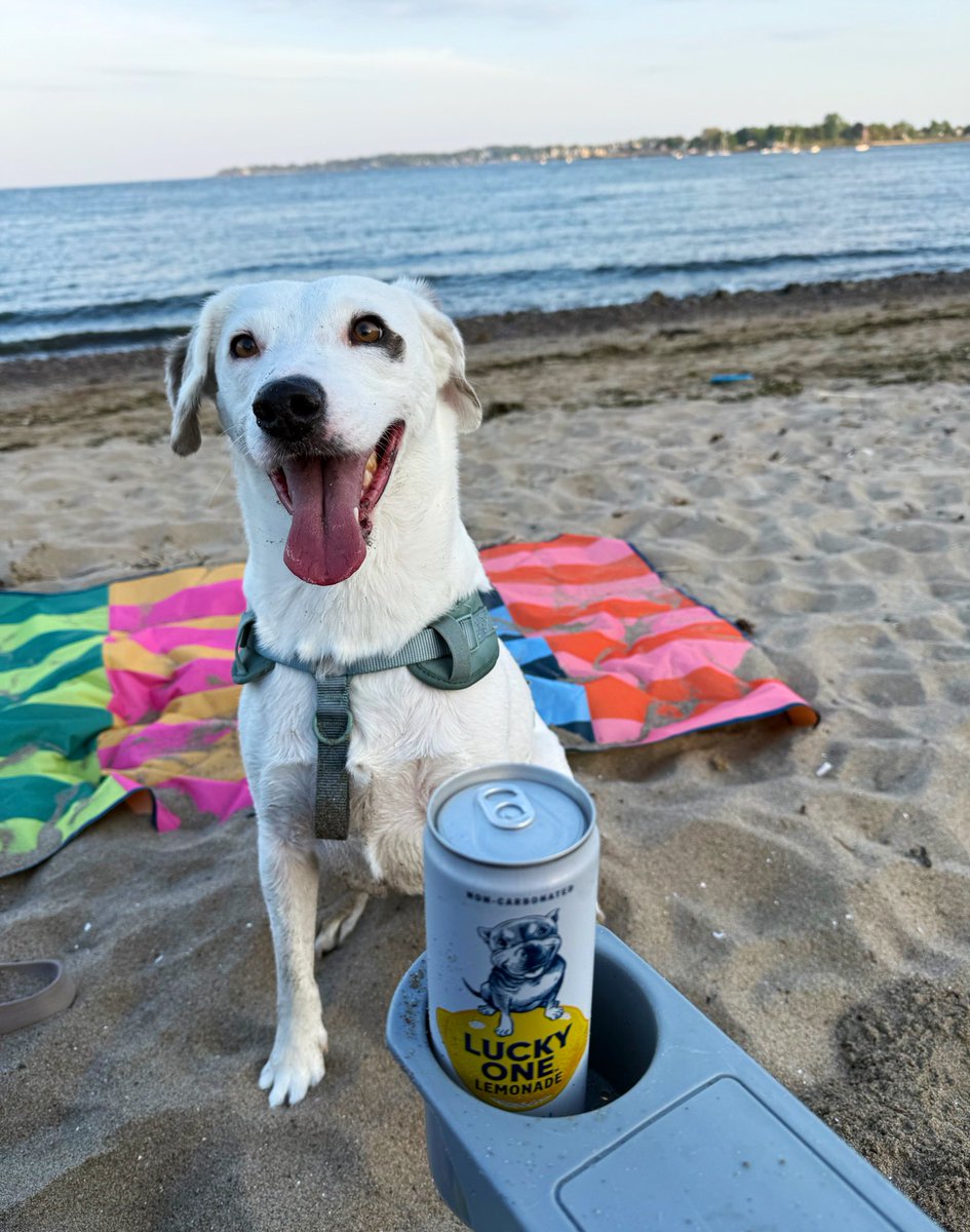 HiMyNameIs_Liam's tweet photo. Drink of the summer @stoolpresidente @VivaLaStool https://t.co/ZxRqUC9sY7