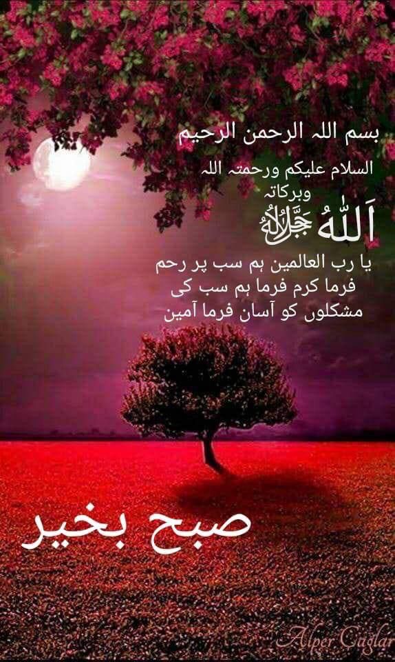 السلام علیکم ورحمت اللہ وبرکاتہ