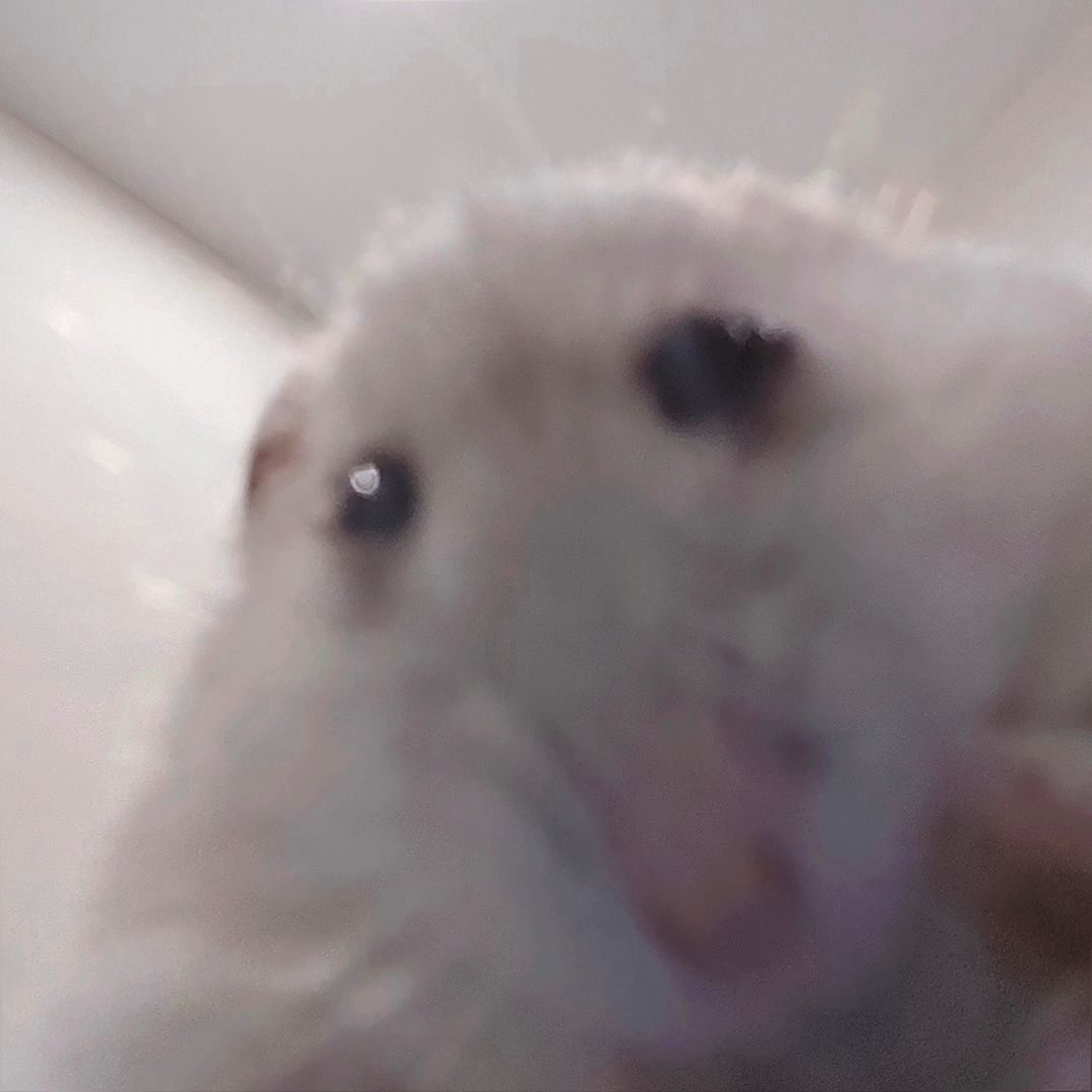 안녕하세요..
오늘 오픈이 안될 것 같습니다..
제작에만 정신이 팔려 
주말에는 텀블벅 심사가 진행되지 않는다는 걸
잊고있었습니다.....
혼선을 드려 정말 죄송합니다..ㅠㅠ
다음 주 안으로 일정 재공지하겠습니다...🥹🙇‍♂️