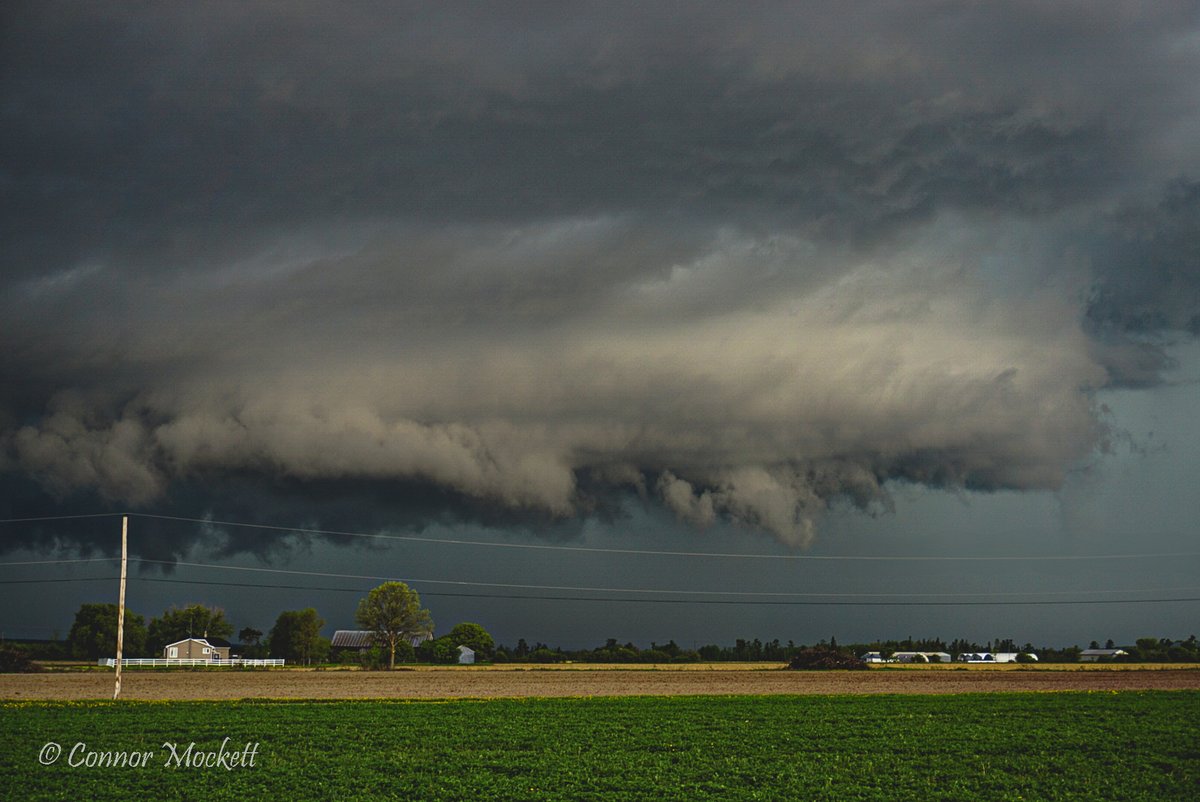 ConnorMockettWX's tweet photo. An absolutely epic day in the Ottawa Valley! Never, ever gets old chasing in this area. Here's this afternoon's shelf cloud that developed after two storms collided just north of Renfrew, Ontario! #onstorm https://t.co/xnxtQWbEbp