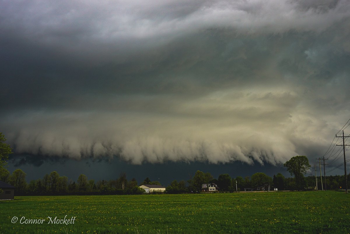 ConnorMockettWX's tweet photo. An absolutely epic day in the Ottawa Valley! Never, ever gets old chasing in this area. Here's this afternoon's shelf cloud that developed after two storms collided just north of Renfrew, Ontario! #onstorm https://t.co/xnxtQWbEbp