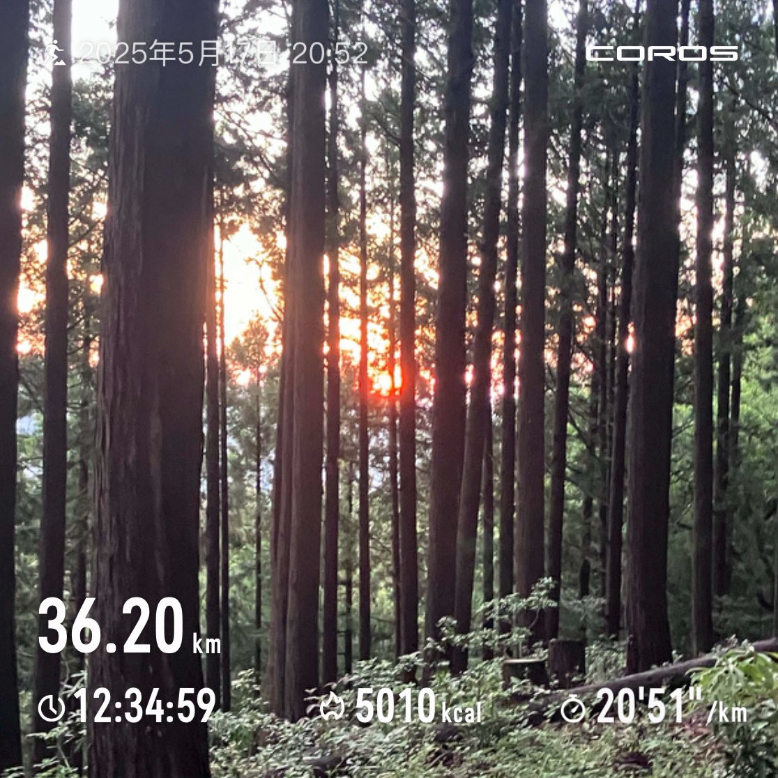 ガイ。 tweet media